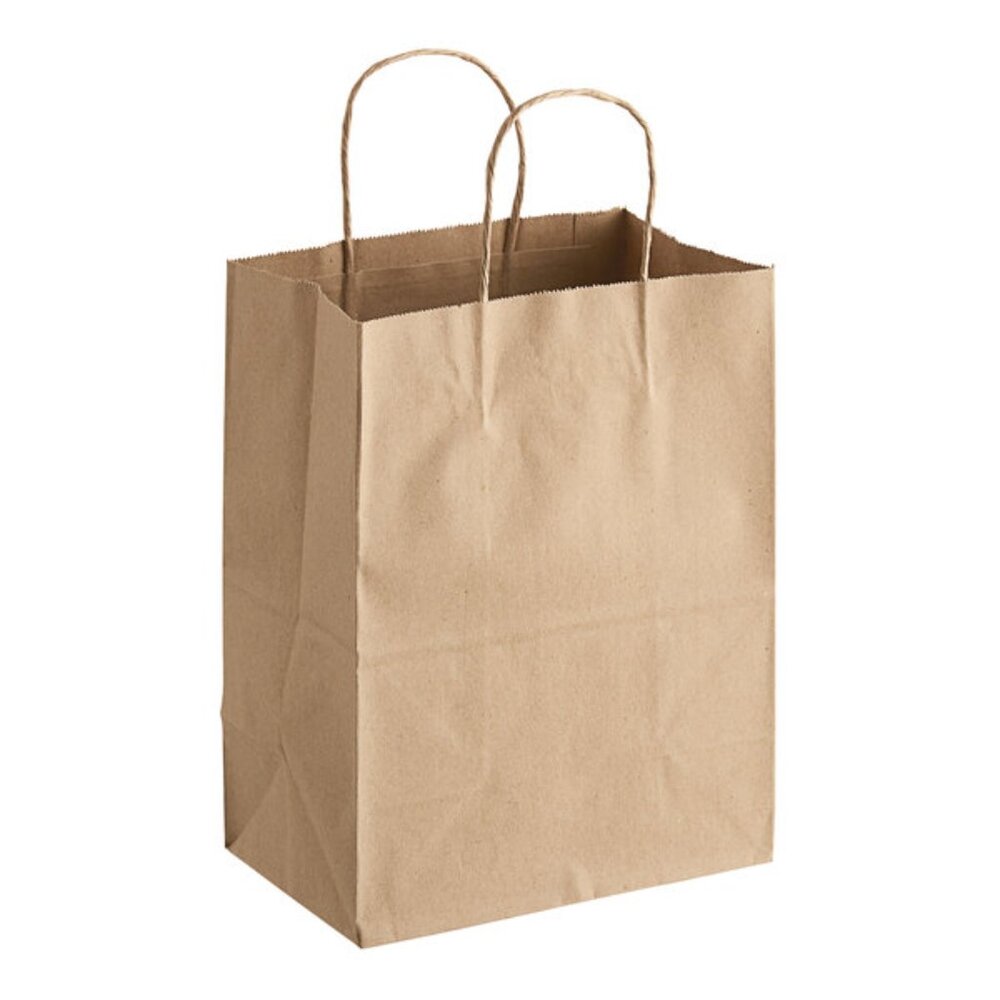 Greenii 250 Kraft Brown Paper With Handles Kraft 10 * 5 * 13 Party Gift Bags